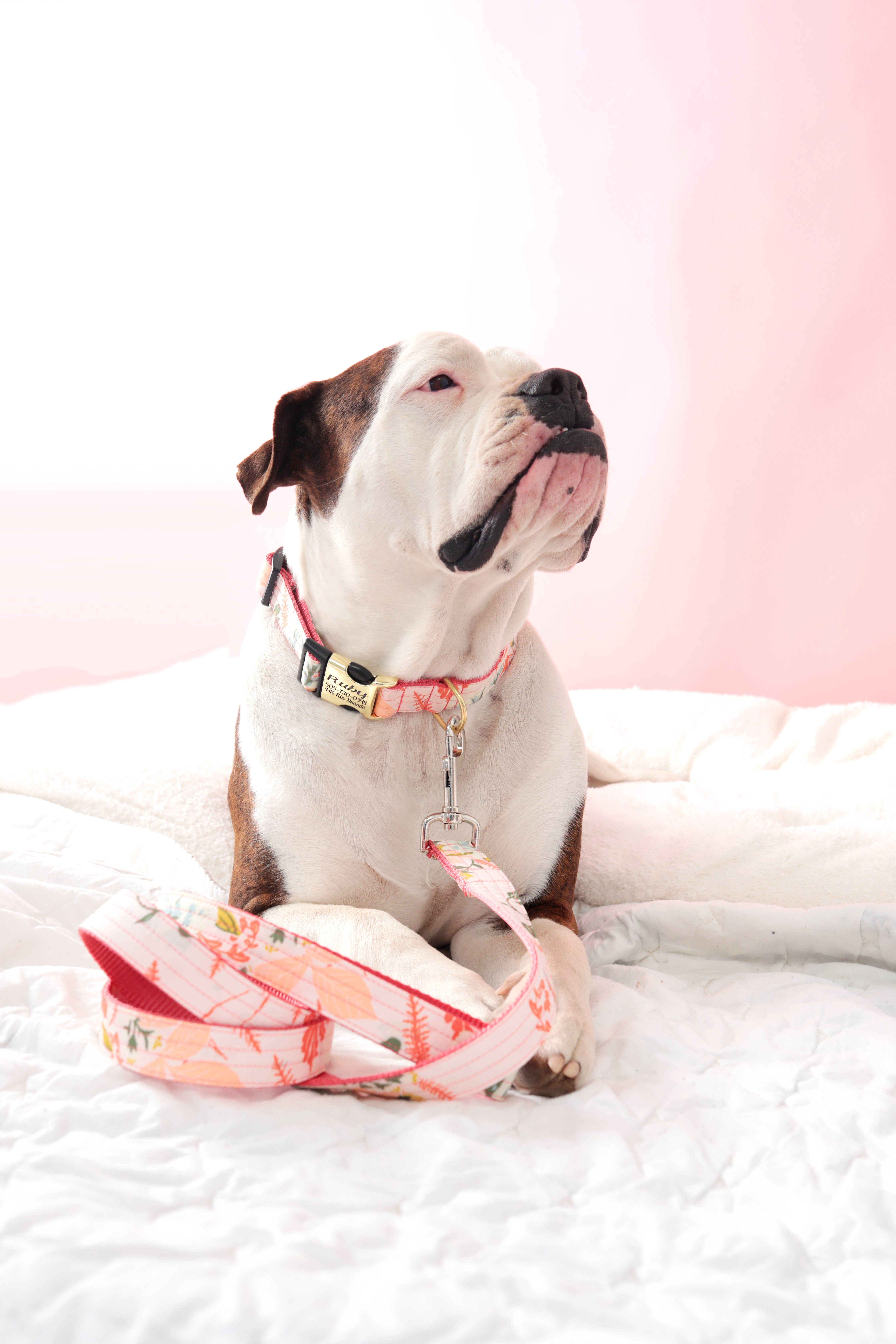 Mimi Green - Wholesale Pet Leash - Dog - 'Lulu' Pink Floral Voile Dog Leash2
