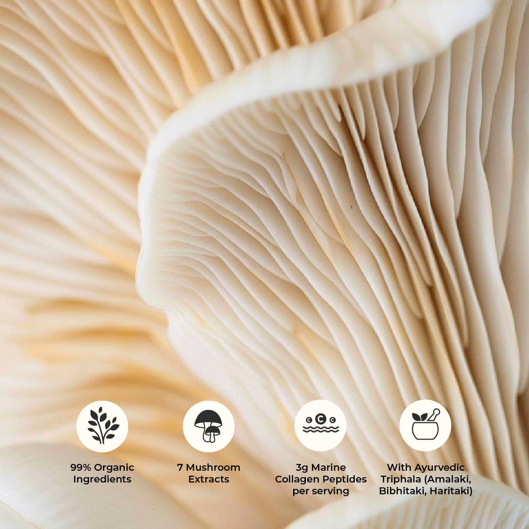 Depuravita - Wholesale Cocoa Nibs - Magic Potion – Adaptogenic Cacao Elixir1