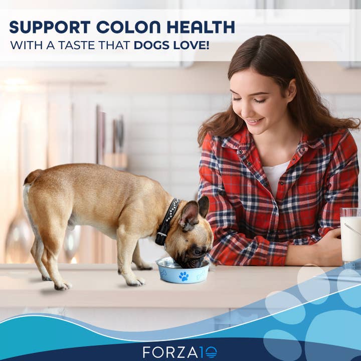 Forza10 Pet Food - Wholesale Pet Food - Dog - Forza10 Active Colon Support Diet Phase 1 Dry Dog Food