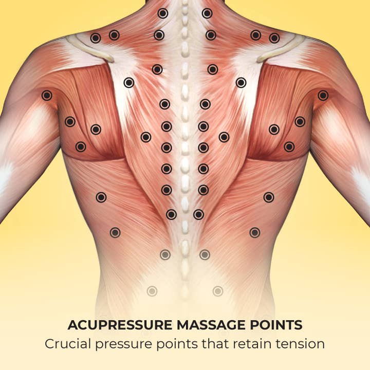 Lindo - Wholesale Body Massager - Lindo Shiatsu Back Massager5