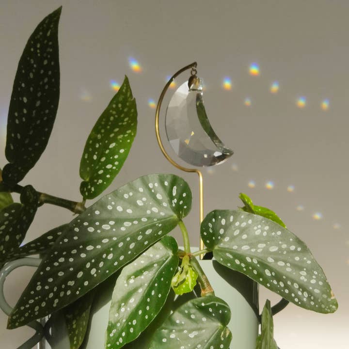 Atelier Intuitive - Wholesale Suncatcher - LUNA • Brass and crystal suncatcher to plant2