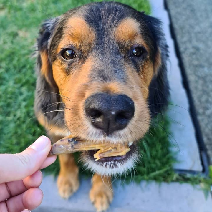 Rover Pet Products – wholesale Godis - Hund – Flap Ya Wings - Chicken Wing Bites1