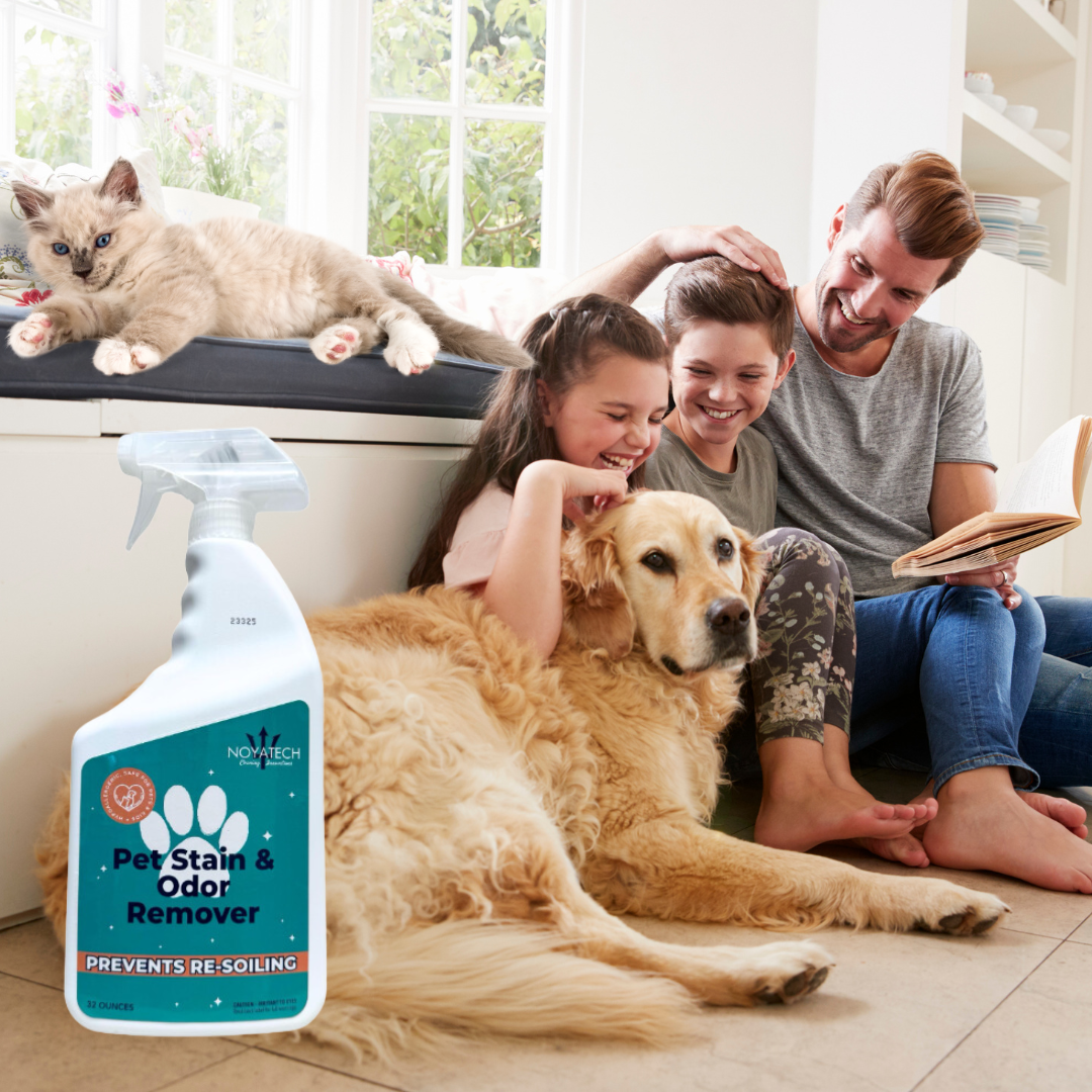 NOYATECH - Wholesale Pet deodorising spray - NOYATECH Pet Stain and Odor Remover - Enzyme Carpet Cleaner and Pet Odor Eliminator for Home. Safe for Pets and kids.1