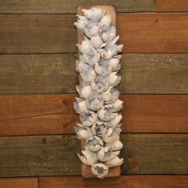 Forever Green Art - Venta al por mayor Artículo decorativo de mesa - Cápsula de semillas mediana con base de madera1