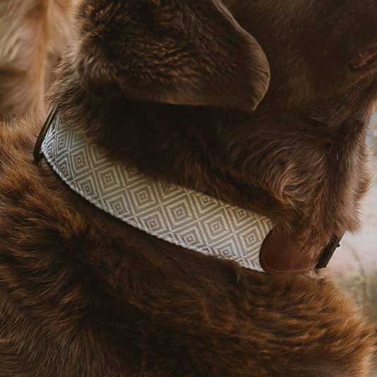 Ladran Gaucho - Wholesale Pet Collar - Dog - Cork necklace1