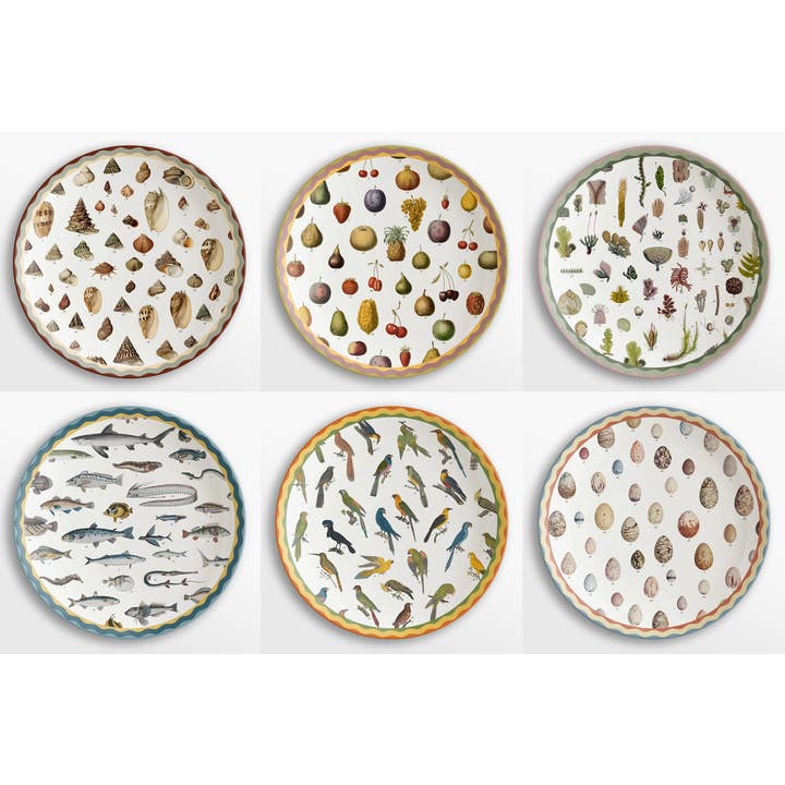 Vito Nesta Grand Tour - Wholesale Serving Plate - Cabinet de Curiosités 6 porcelain placemats #2