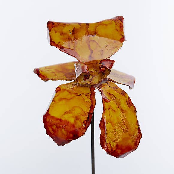 Orchidée jaune orange pour la vente par Bobbianne's Flowers