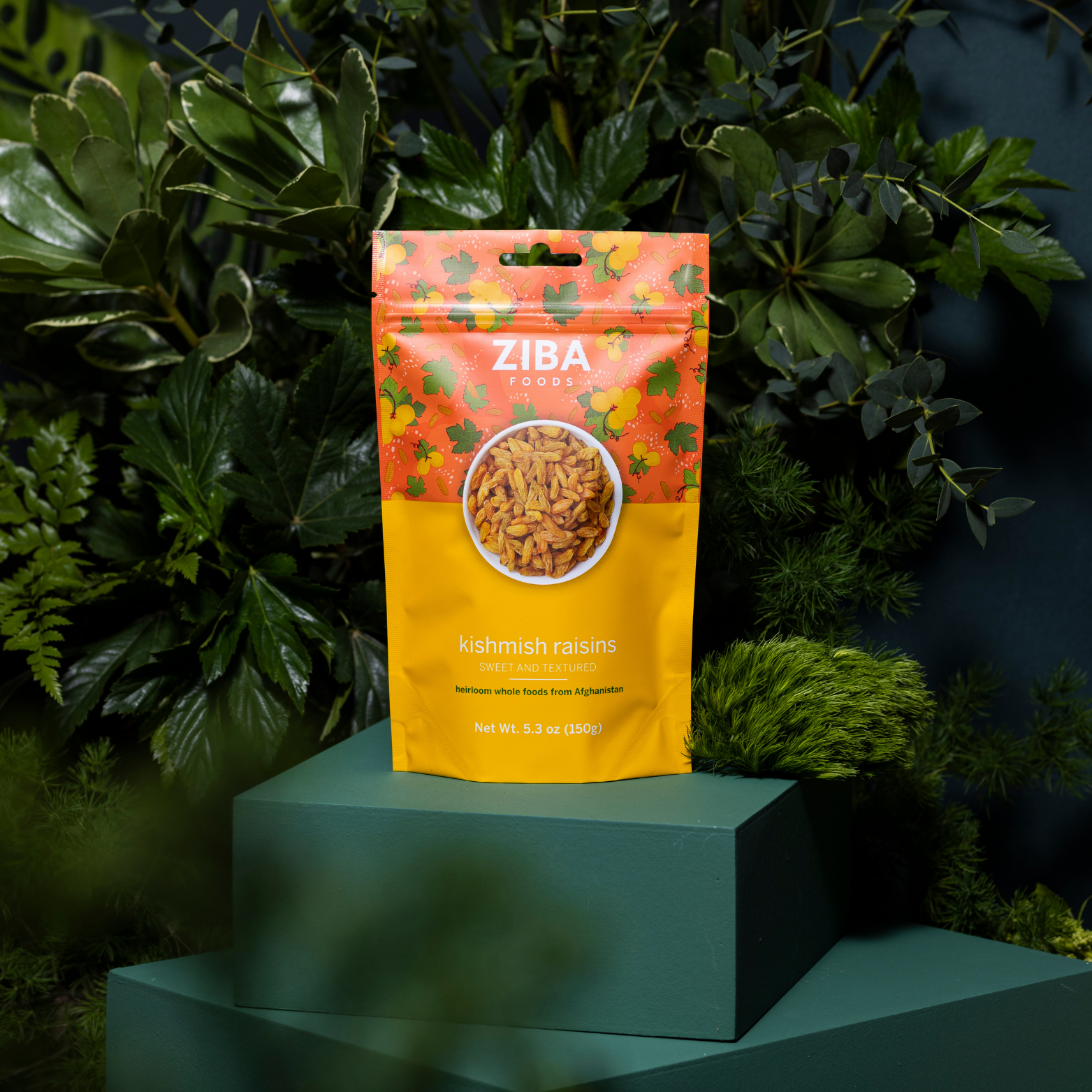 Ziba Foods – Engroshandel Tørret/dehydreret frugt – Kishmish rosiner single-serve snack, vegansk 1 oz9