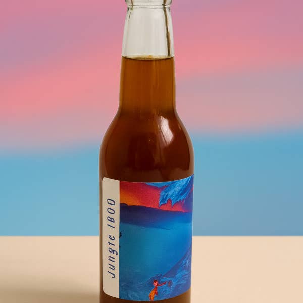 Café fermentado frío – Jungla 1800 para venta al por mayor de Folèro