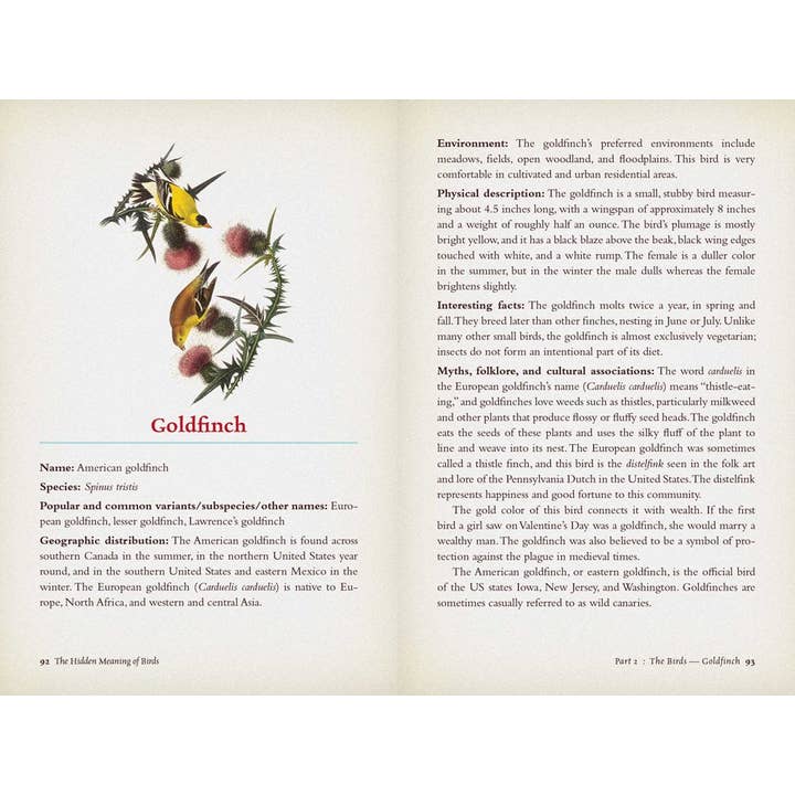 Microcosm Publishing & Distribution - Vente Livre sur la nature et les activités de plein air - La signification cachée des oiseaux : un guide de terrain spirituel1