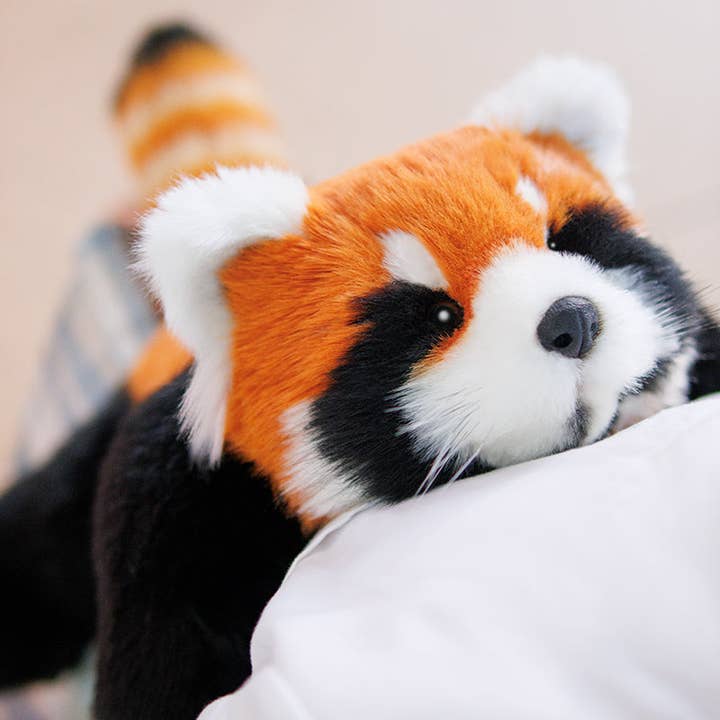Chongker - Wholesale Stuffed/Plush Toy - Kids & Baby - Red Panda Weighted Plush – Snuggle Toy for Stress Relief11