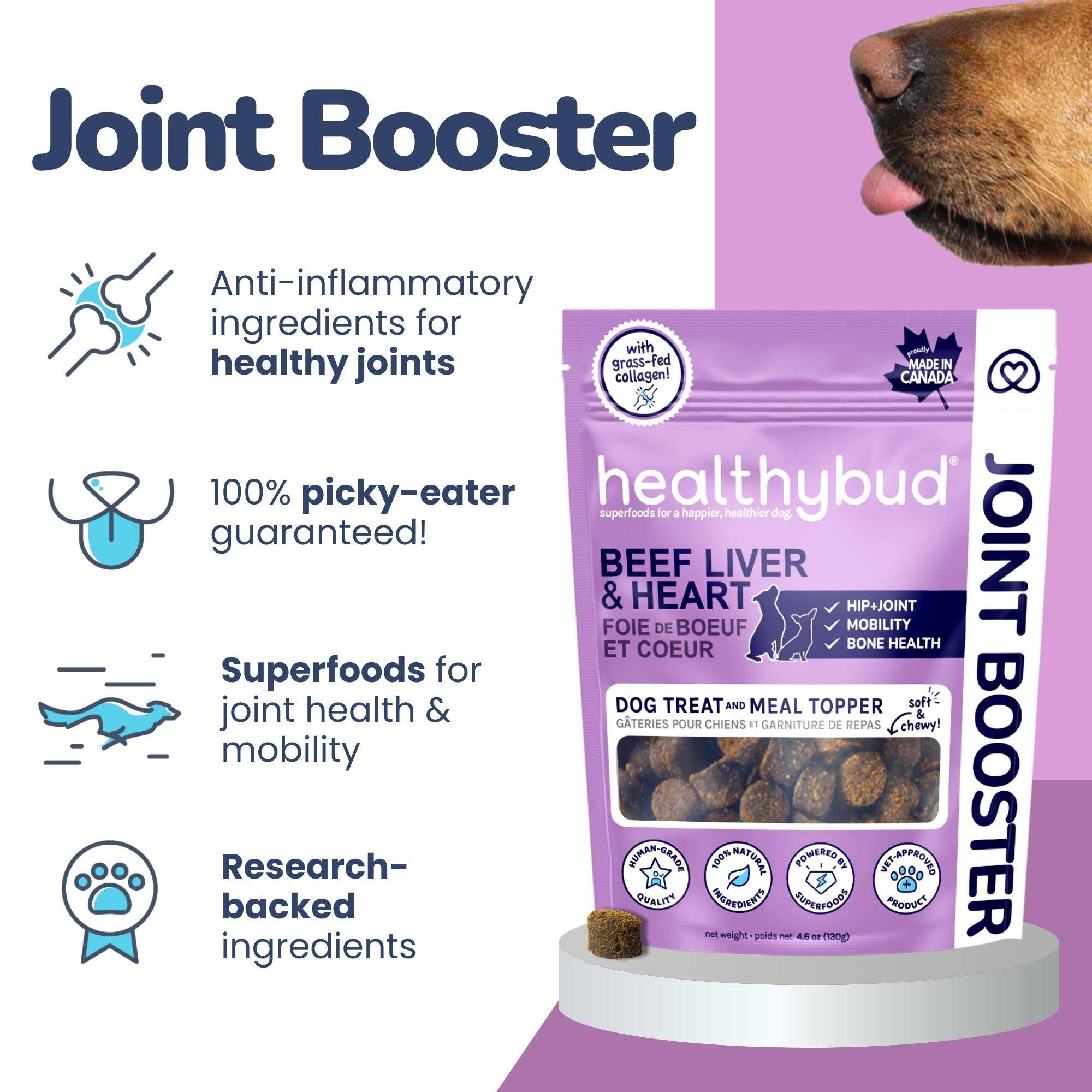 Healthybud - Wholesale Pet Treats - Dog - Healthybud's Functional Beef Joint Booster Dog Treats3