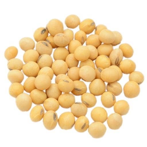 The Byron Co-op - Wholesale Beans - Soya beans - Organic0
