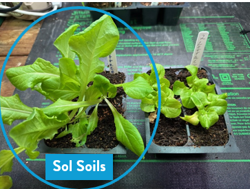 Sol Soils - Wholesale Planting/Potting Soil - Soil (1Gal) Seedling & Propagation Mix3