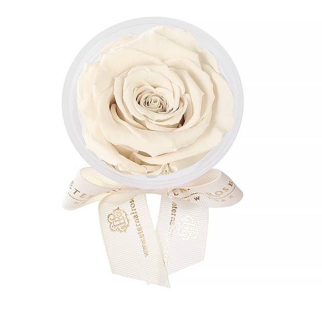 Eternal Roses® - Wholesale Party Favor - Eternal Rose Party Favors11