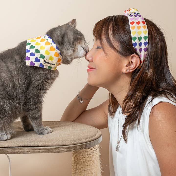 Pawsbury Lane – wholesale Pet bandana – Dog – Matching Pet and Owner: Headband and Bandana - Love in Color