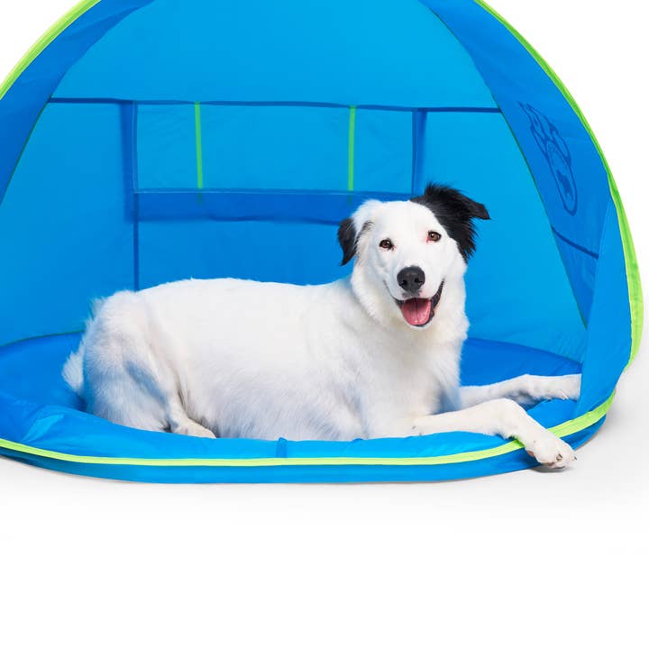 Chill Seeker kylstation (blå) - Hundkylning för wholesale av Canada Pooch