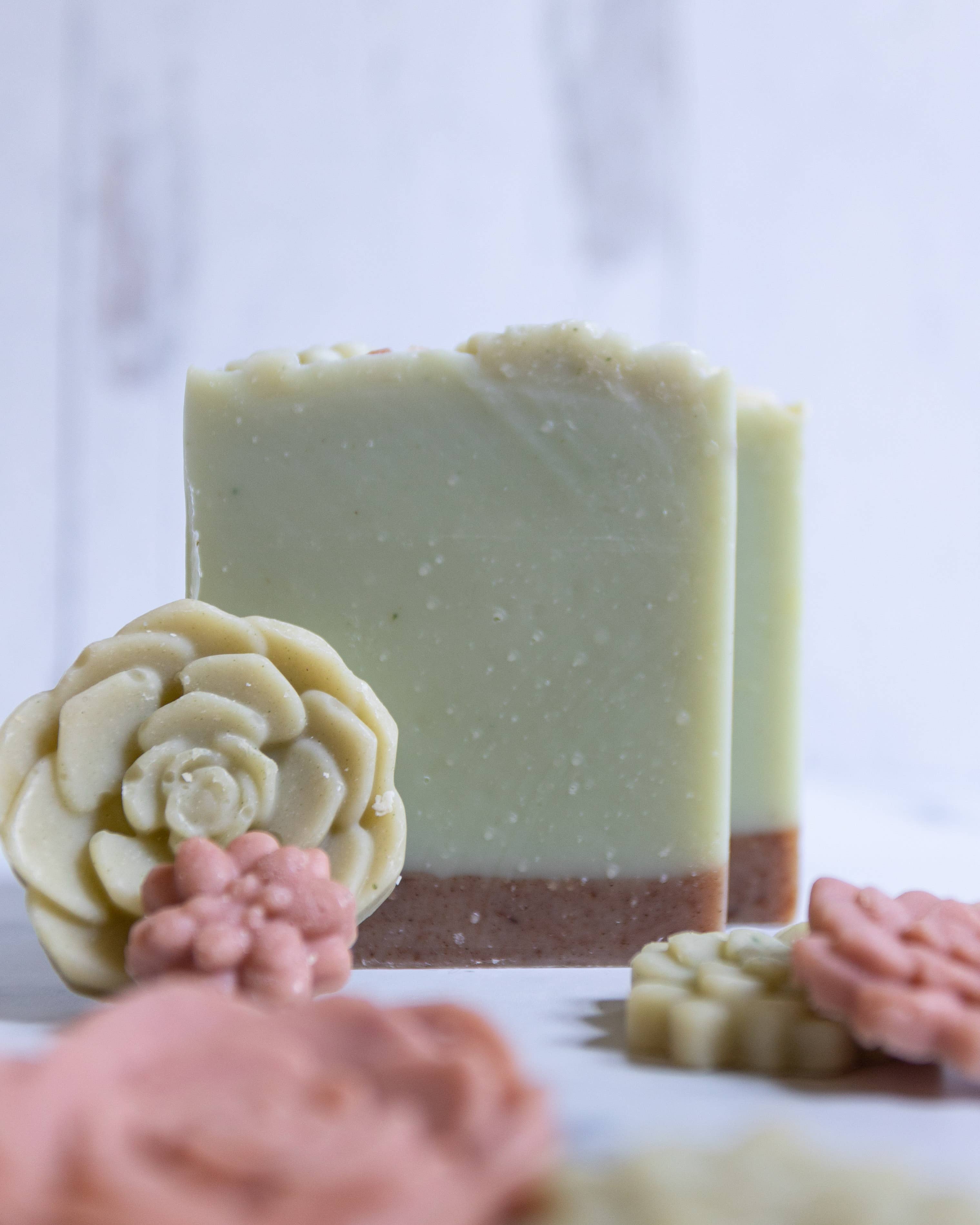 Beyond Bubbles - Wholesale Bar Soap - Succulent Garden2