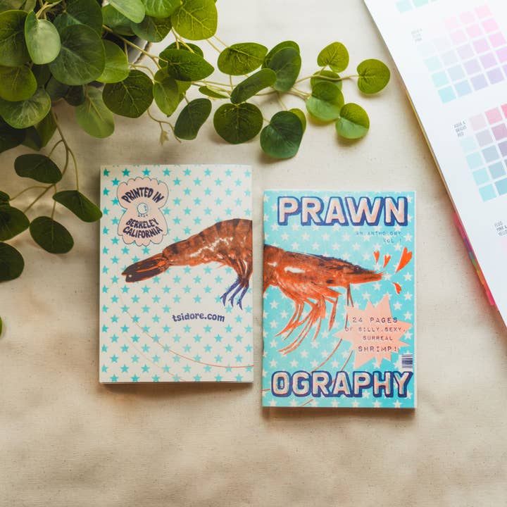 Tamiko Sidore Studio - Wholesale Reference Book - PRAWNOGRAPHY Risograph Zine5