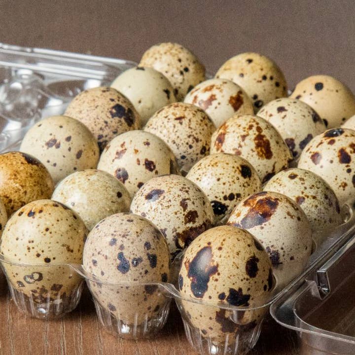 Wild West Raw - Wholesale Pet Food - Dog - Broken Quail Egg Topper Freeze Dried 1/2 lb1