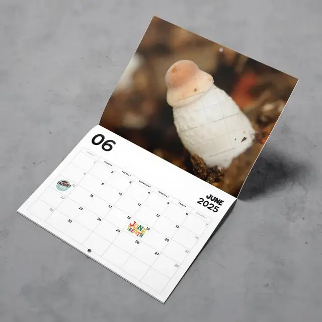 ShutUpAndTakeMyMoney - Wholesale Calendar - Nature's Cock Shots 2025 Calendar1