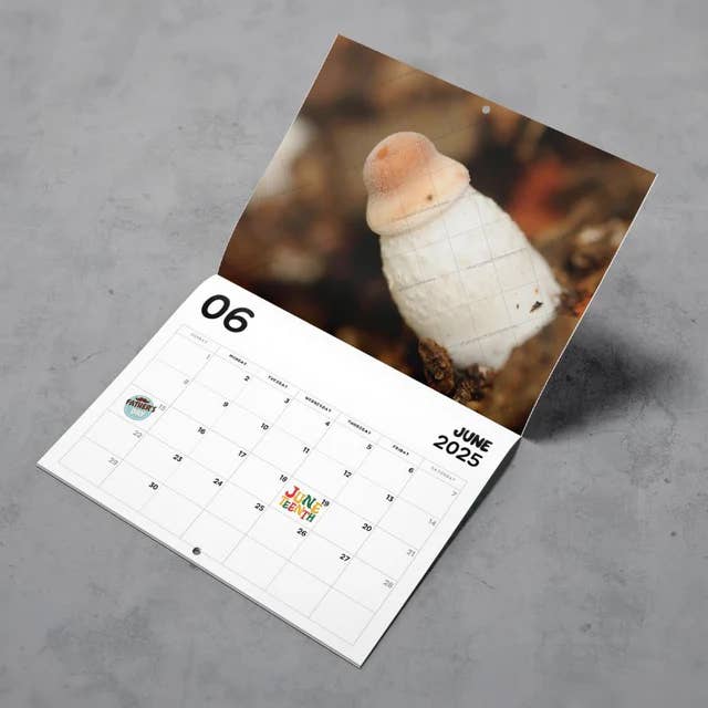ShutUpAndTakeMyMoney - Wholesale Calendar - Nature's Cock Shots 2025 Calendar1