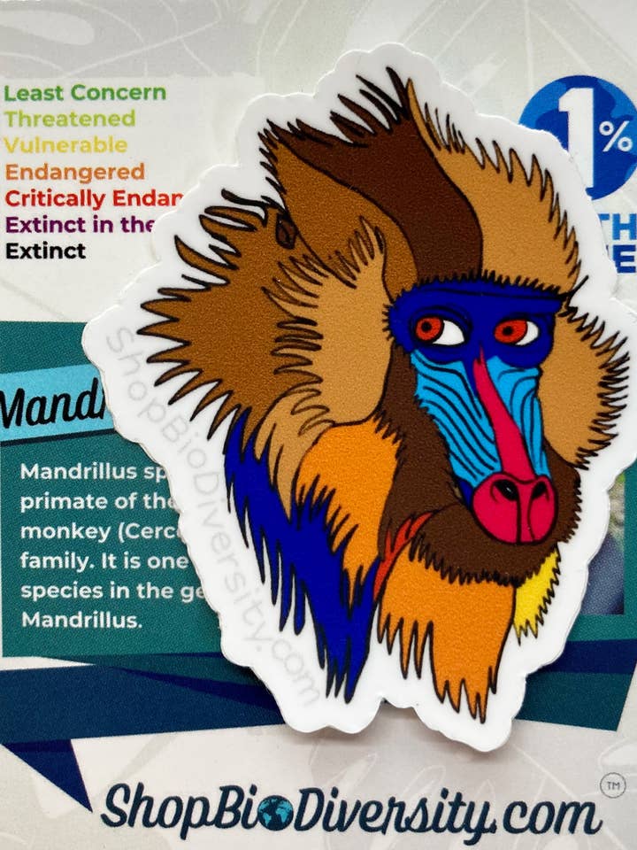 Mandril Vinyl Sticker - Kleurrijke Regenwoud Aap Kunst voor wholesale door Shop BioDiversity