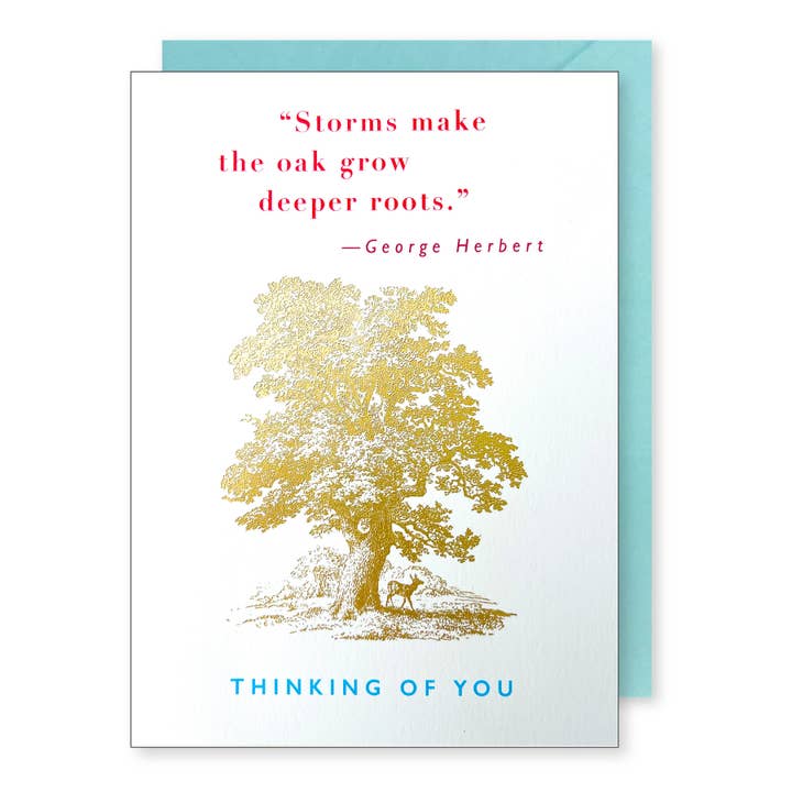 Thinking of You Oak Tree for wholesale by J.Falkner Cards