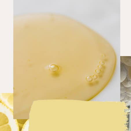 Peinture en une étape - Palm Beach pour la vente par Amy Howard at Home