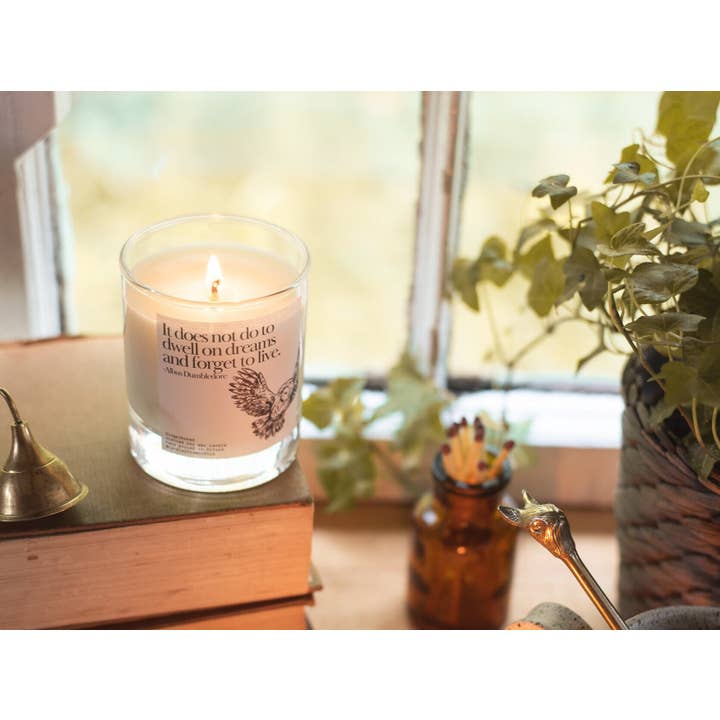 Candles from Oxford - Wholesale Jar/Filled Candle - Albus Dumbledore Candle Gift - Wizard Owl Potter Book