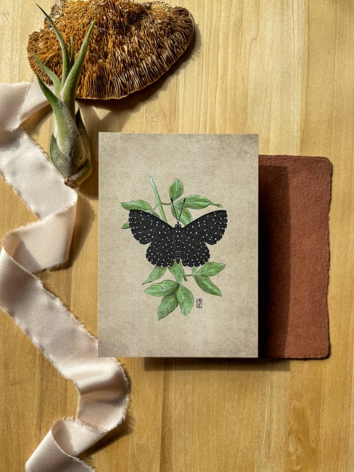 Starry Night Butterfly Art Print - Wall Art, Home Decor for wholesale by Luna Lupe Studio