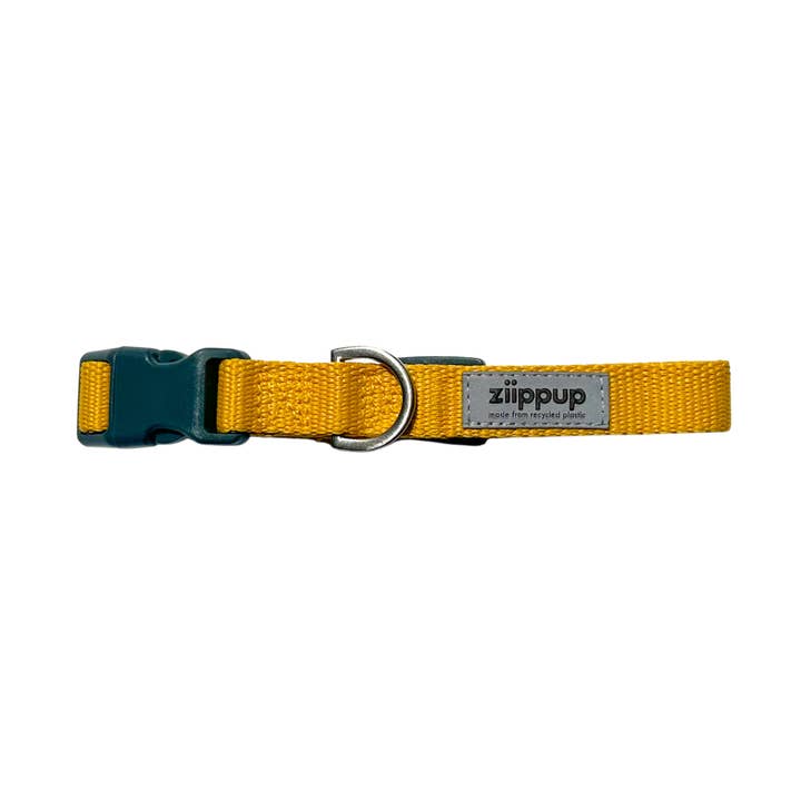 Ziippup - Eco Dog Leads & Collars - Wholesale Pet Collar - Dog - Yellow Dog Collar0