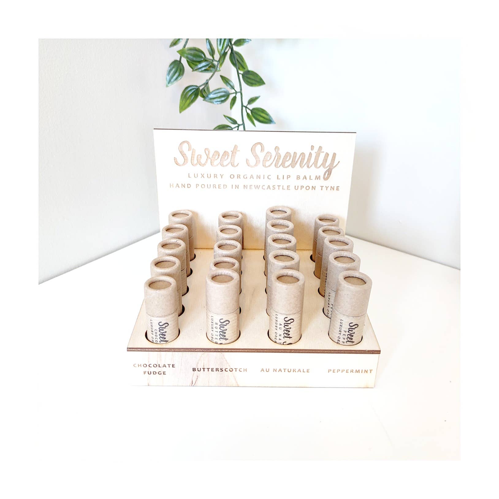 Sweet Serenity – wholesale Lip Balm – Lip Balm - Coco Loco (Coconut)2