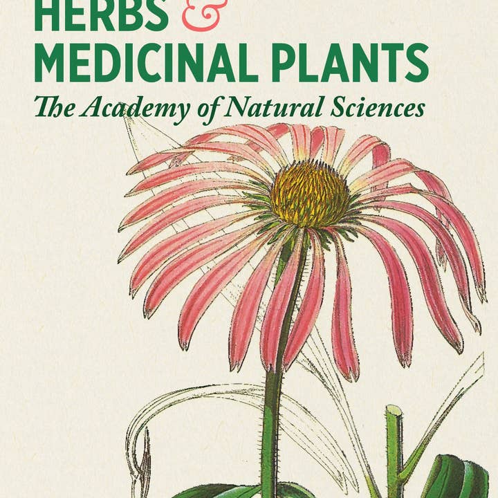 Pomegranate - Wholesale Card Game - Herbs and Medicinal Plants Knowledge Cards1