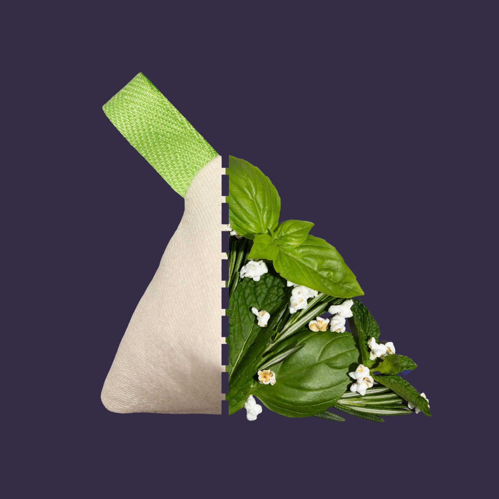 Longsock - Wholesale Pet Toy - Dog - Longsock Scent Refill2