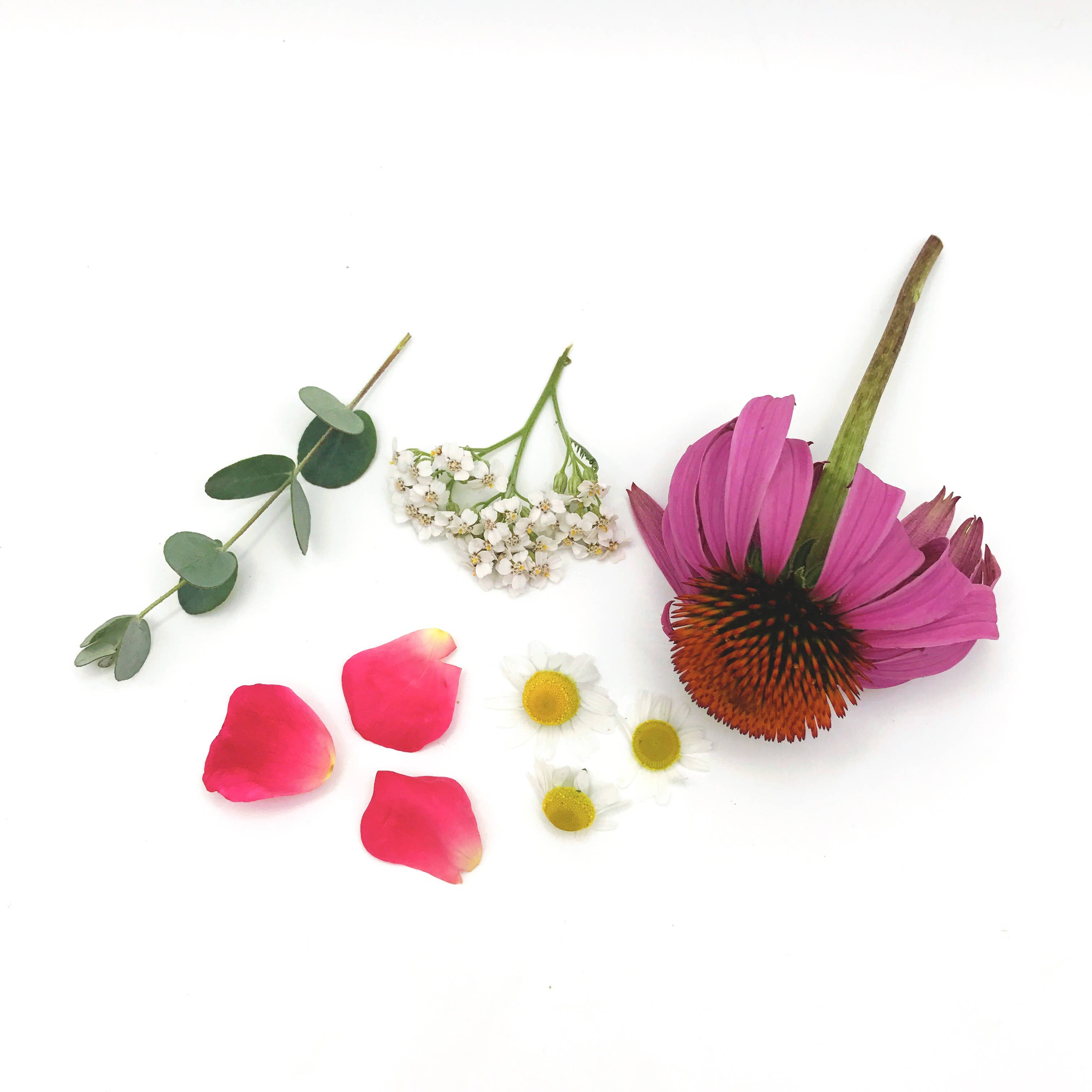 Rooted Earth Farm + Apothecary - Wholesale Healing Salve/Balm/Cream - Cold and Flu Salve - 3 Size Options10