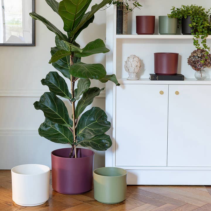 Prague Ceramic Indoor Plant Pot H19.5cm D23cm for wholesale by Ivyline