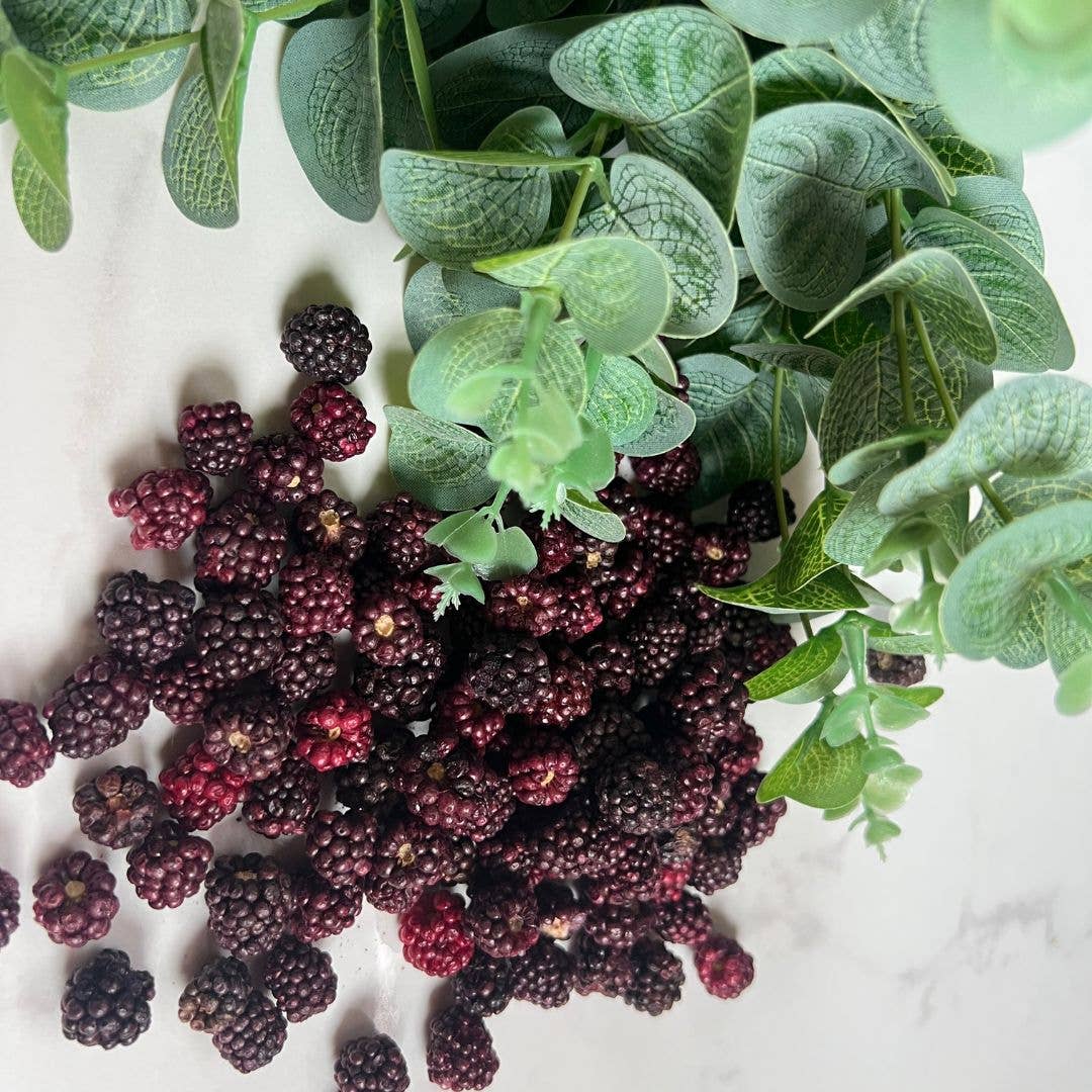 NutriBoom - Wholesale Dried/Dehydrated Fruit - Freeze Dried Blackberries: 17g un 35g packs4