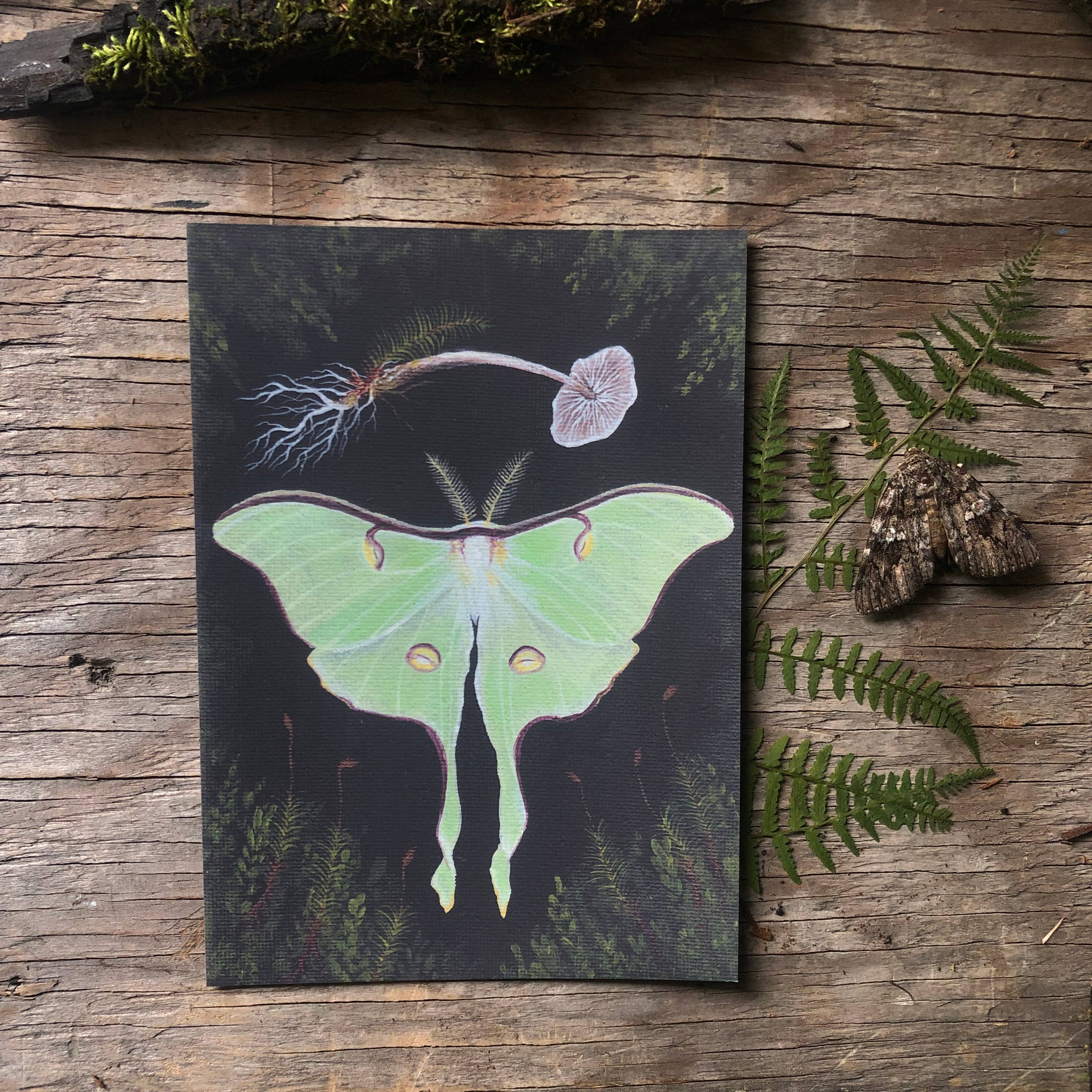 Up Moss Creek Studio - Wholesale Postcard - Luna Moth Postcard 4