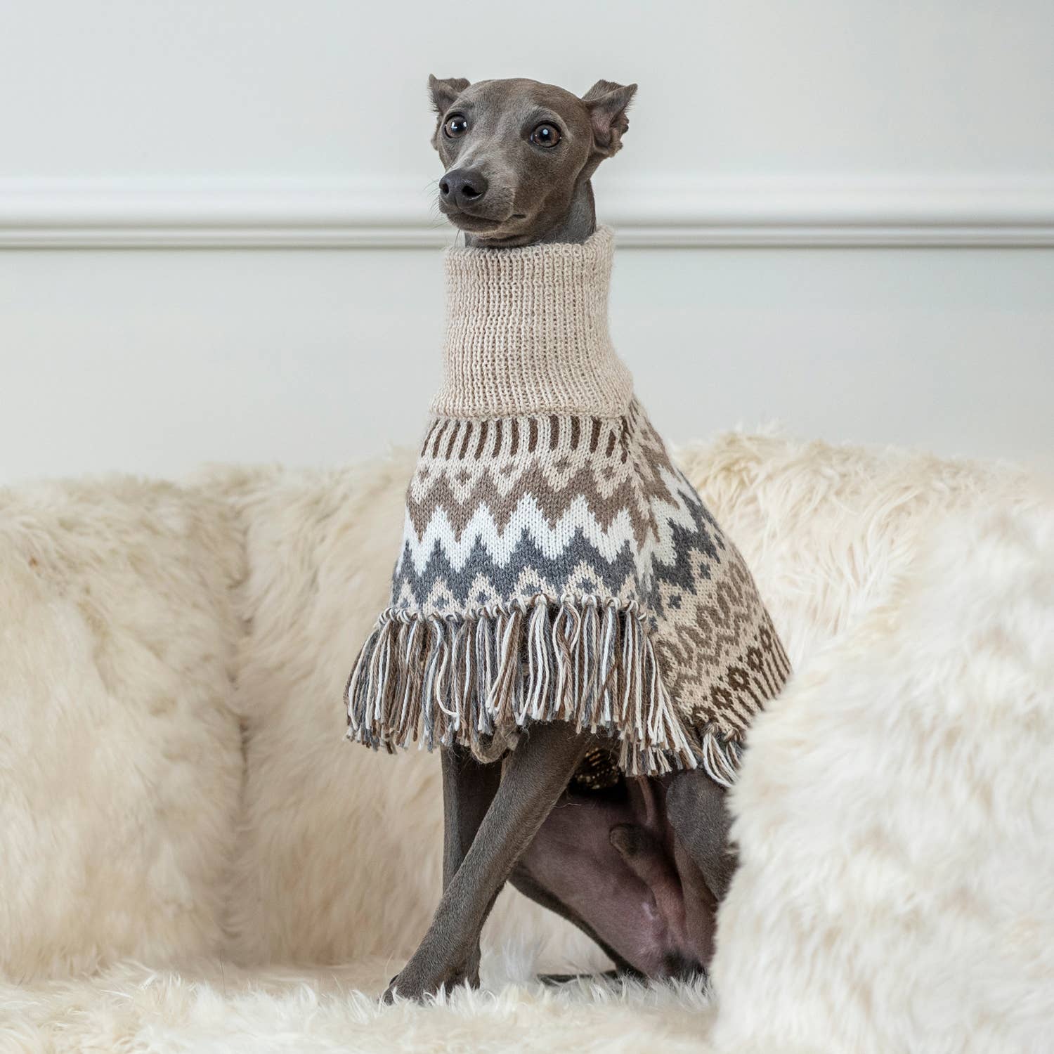 Alqo Wasi - Wholesale Pet Sweater - Dog - Woolly Winter Alpaca Dog Poncho2