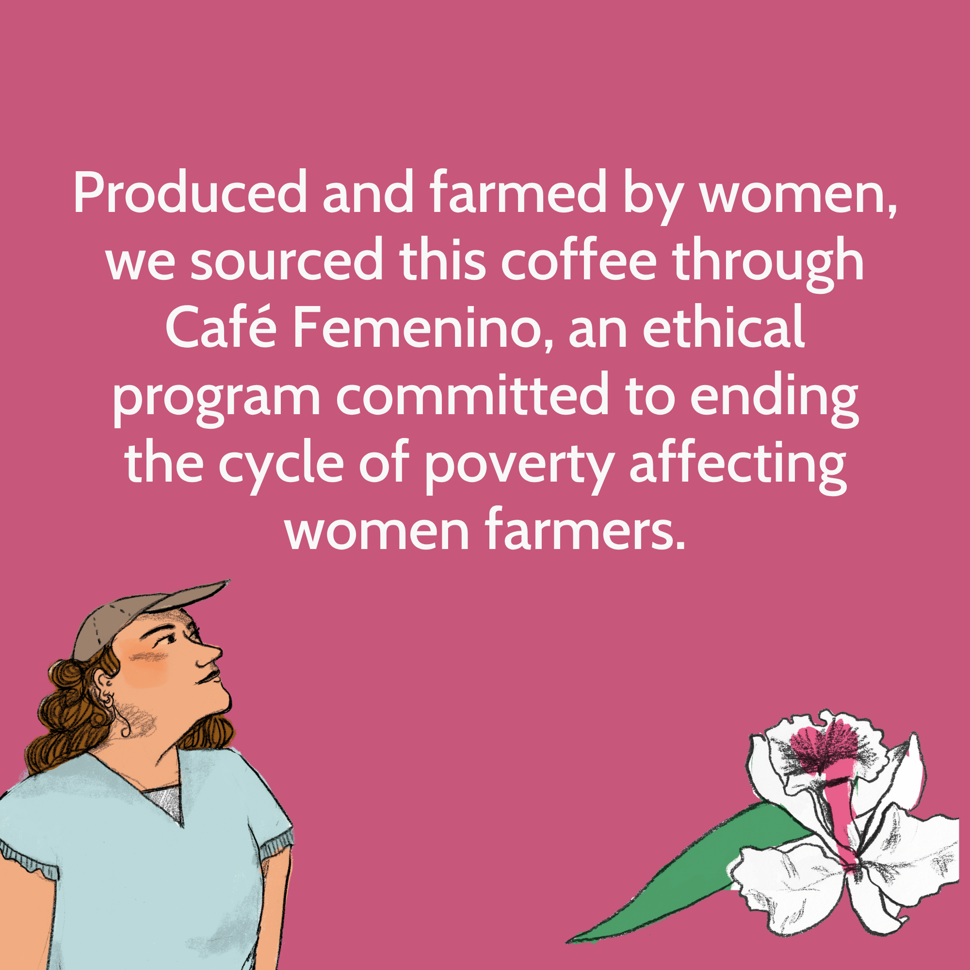 Ferris Coffee & Nut Co. - Wholesale Coffee Beans - Colombia FTO Cafe Femenino (Whole Bean) 10 oz.2