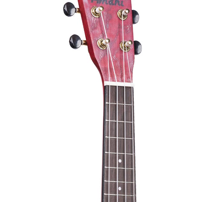 Amahi Exotic Wood Series - C-22 for wholesale by Amahi Ukuleles