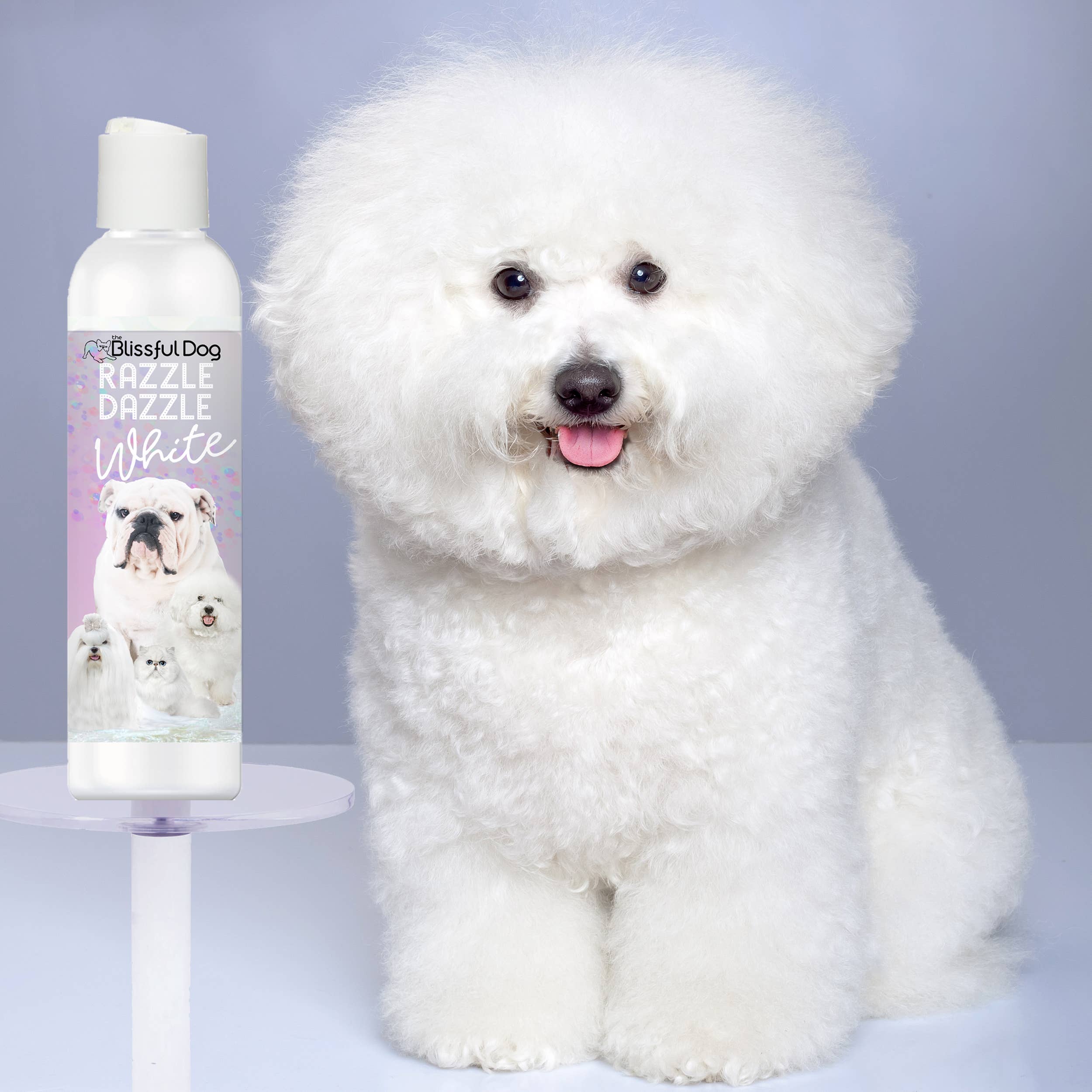 The Blissful Dog - Wholesale Pet Shampoo - Dog - Razzle Dazzle White Pet Shampoo for Next Level White4