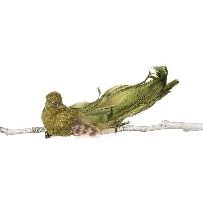 Abbott - Wholesale Decorative Figurine - Green Birdclip with Long Curly Tail0