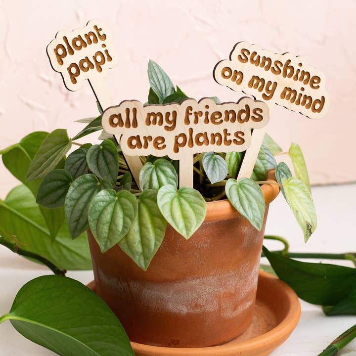 The Print Pantry - Wholesale Garden/Lawn Stake - Retro Funny Wooden Plant Markers