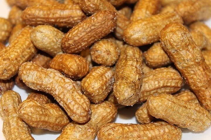 A Little Nuts Deep Fried Peanuts - Wholesale Nuts - Salty Deep Fried Peanuts1