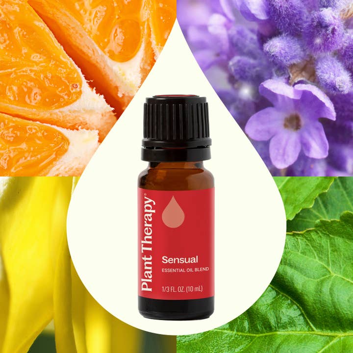 Plant Therapy - Wholesale Essential Oil - Sensual Essential Oil Blend 10 mL2