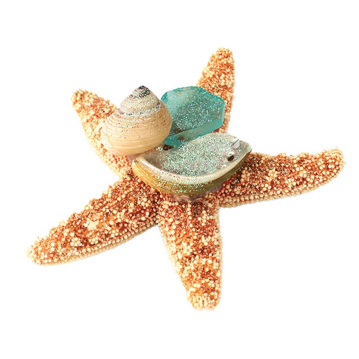 California Seashell Company - Wholesale Magnet - Sea Glass Sugar Starfish Collage Magnet3