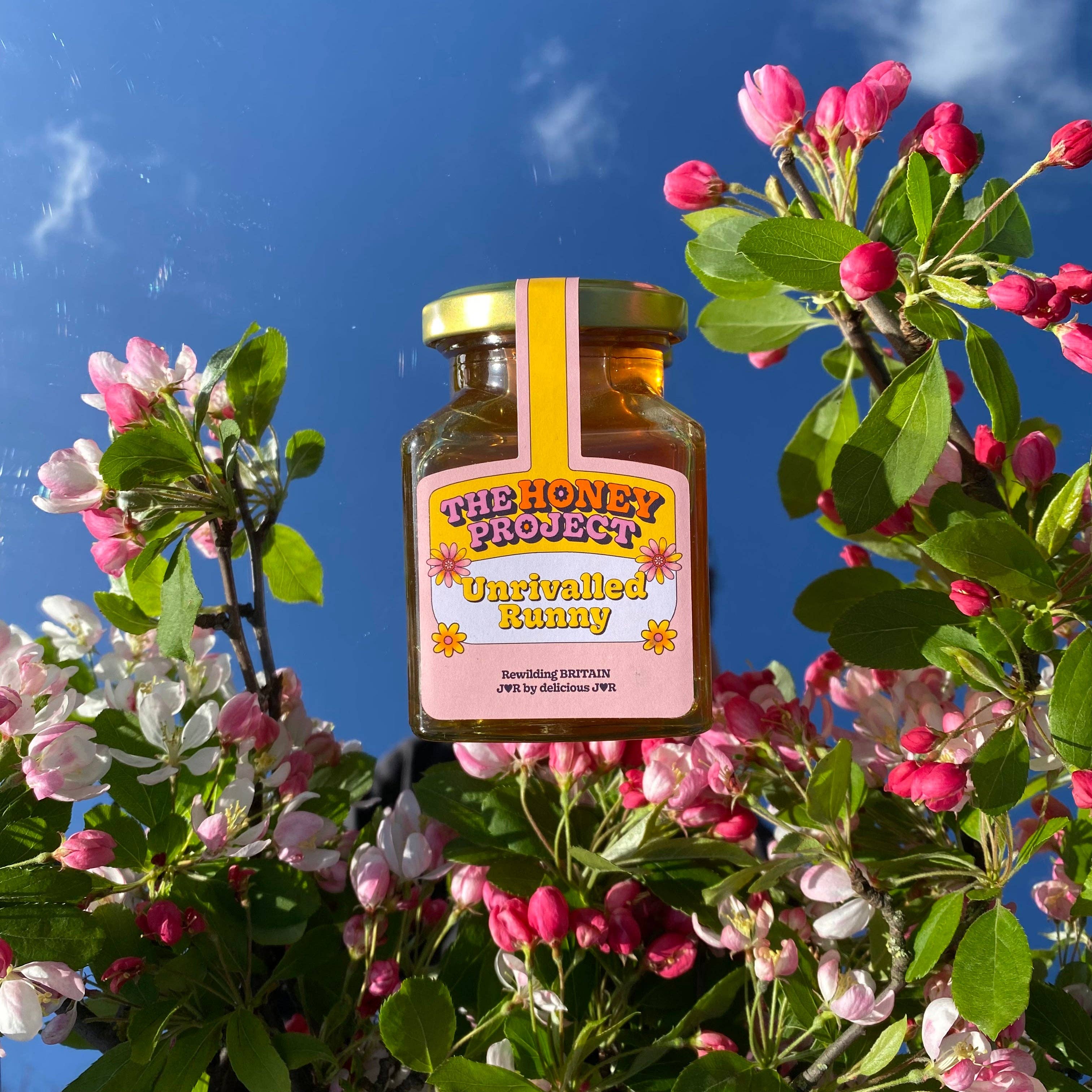 The Honey Project - Vendita all'ingrosso Miele - Incomparabile Runny2