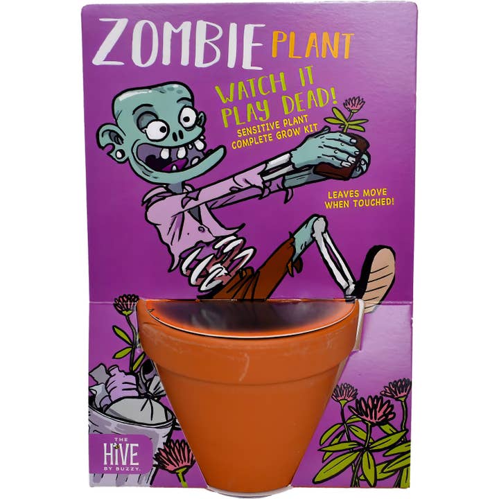 Buzzy Seeds Grow Gifts - Wholesale Plant Pot - Zombie Terracotta Grow Pot – Unique Indoor Plant Gift2